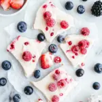 Vegan Frozen Yogurt Bark with Berries