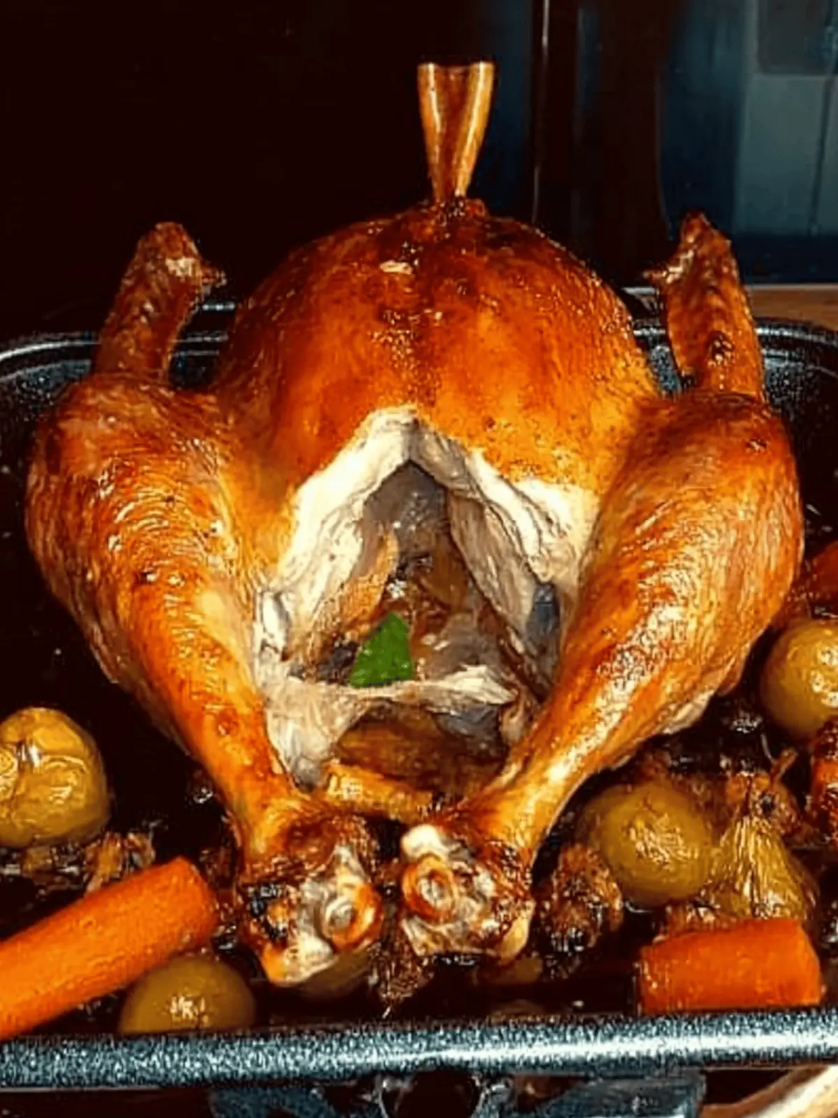 Navy Style Roasted Turkey for a Flavorful Family Feast 3 Roasted Turkey, Navy Style