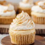 MINI NO BAKE PUMPKIN CHEESECAKES