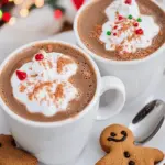 Cozy Gingerbread Hot Chocolate to Warm Your Winter Evenings 8 Gingerbread Hot Chocolate